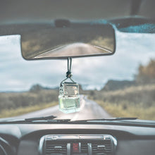 Load image into Gallery viewer, Car Fresheners
